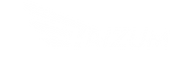 Haizum